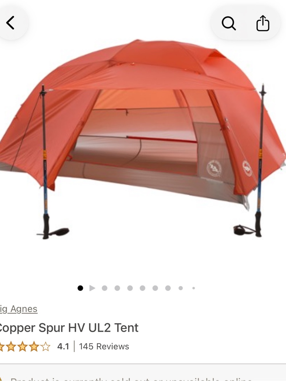 Big Agnes Two-Person Backpacking Tent in Orange/Tan